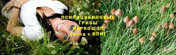 скорость Ладушкин