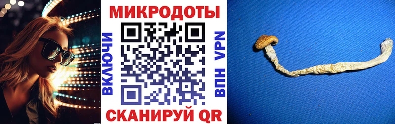 Галлюциногенные грибы Magic Shrooms  купить закладку  Александровск 